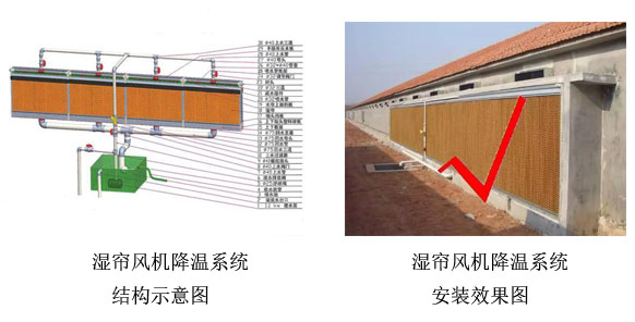 濕簾風機降溫系統
